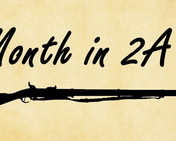 Second Amendment news