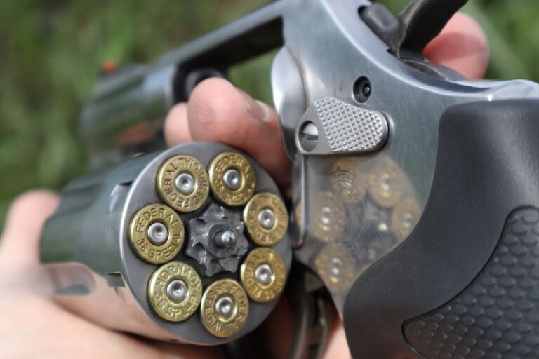 Smith & Wesson 686+ 2.5-inch Revolver: The Shootable Snubbie - Inside ...