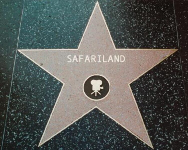 Safariland hollywood star