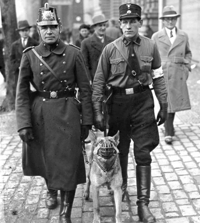 German police dogs