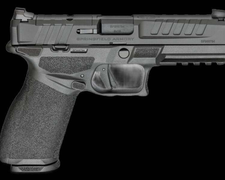 Springfield Armory Echelon 4.5F manual safety