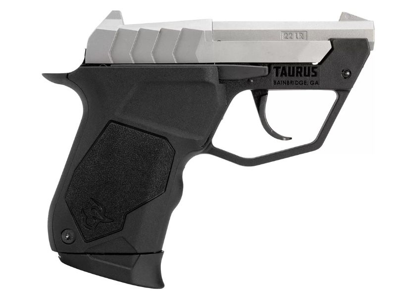 The Taurus .22 TUC Stainless