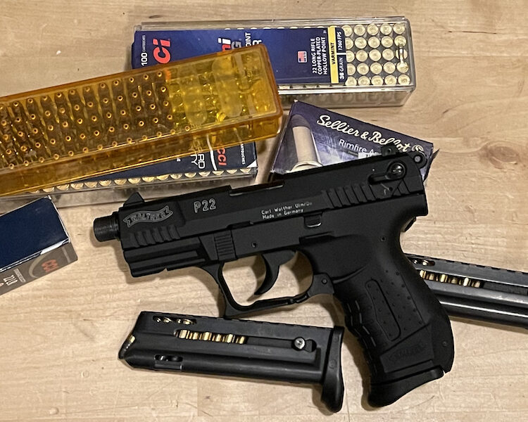 cover photo featuring P22 pistol and various .22lr ammunition