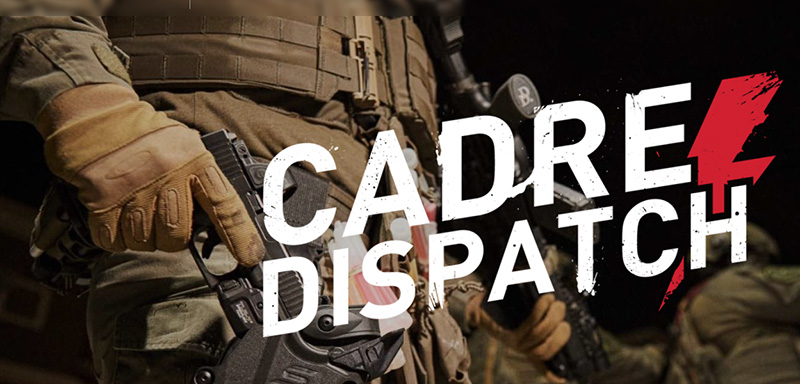 Safariland Cadre Dispatch gun blog