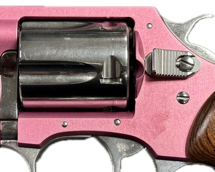 charter arms coyote revolver