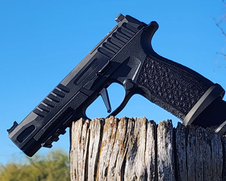 sig p365 fuse