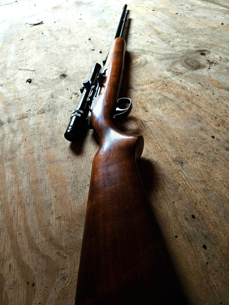 Remington 550-1 rifle