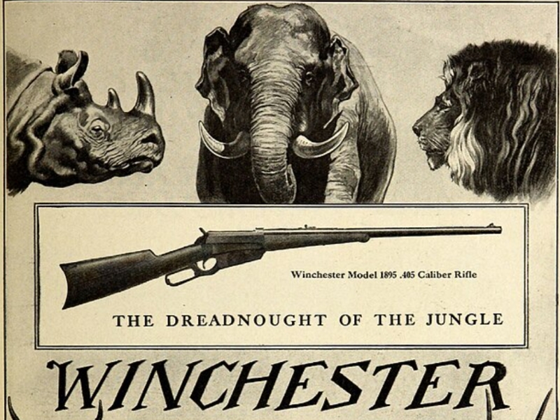 winchester 1895 mag fed lever action rifle advertisement