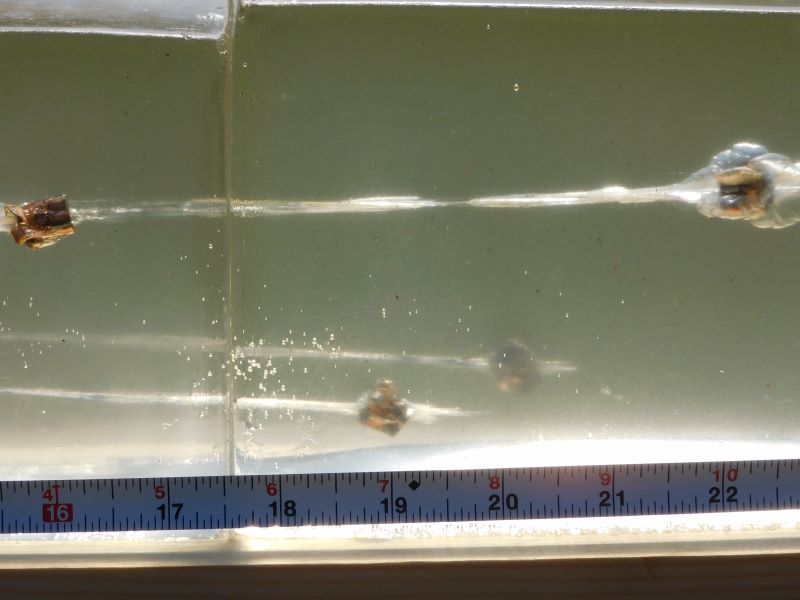 hollow point expansion in ballistic gelatin