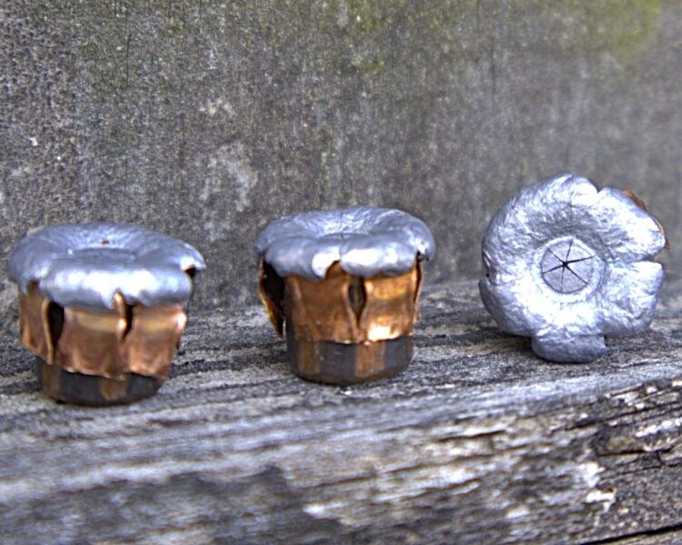hollow point projectiles, expanded. Hornady critical defense, .380