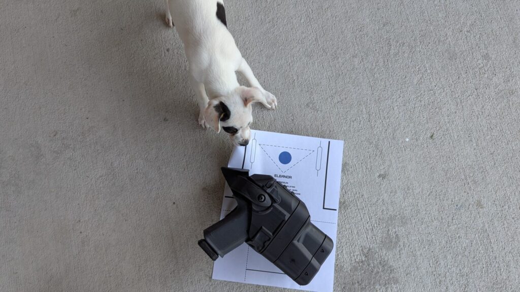 Eleanor target and drill