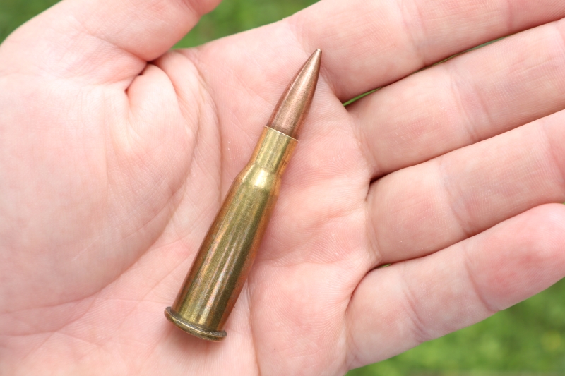 8mm lebel ammunition