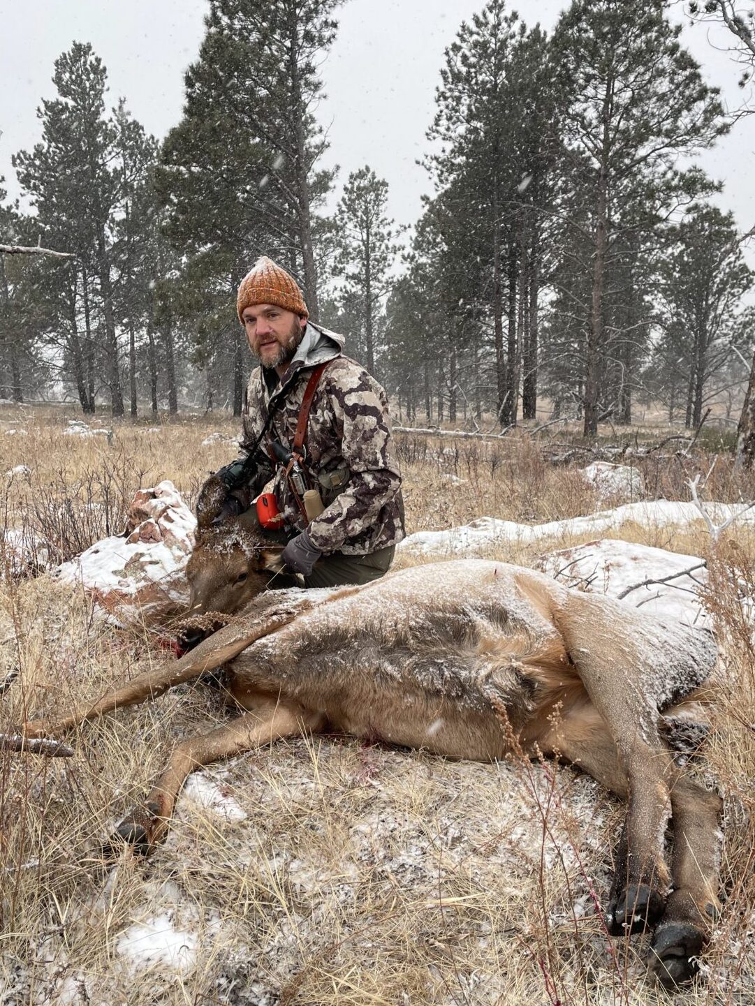 Cow Elk taken at 220 yards with a 460 SW