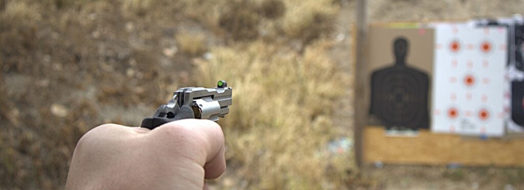 naa mini with tritum xs sight