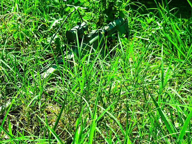 camouflage rifle in green grass