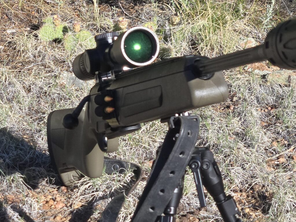 Steyr Scout rifle with Vortex optic reflecting sunlight.