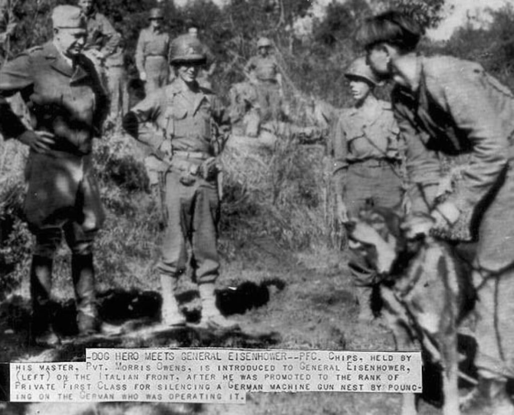 Pictured is an old Army picture of War Dog Chips meeting General Eisenhower being promoted to the rank of Private First Class