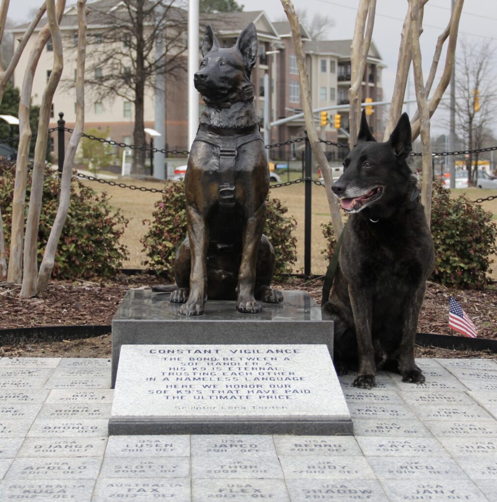Pictured id Combat Assault Dog Duco sitting next to the bronze Belgian Malinois SOF K9 statue at the SOF K9 Memorial in Fayetteville, NC