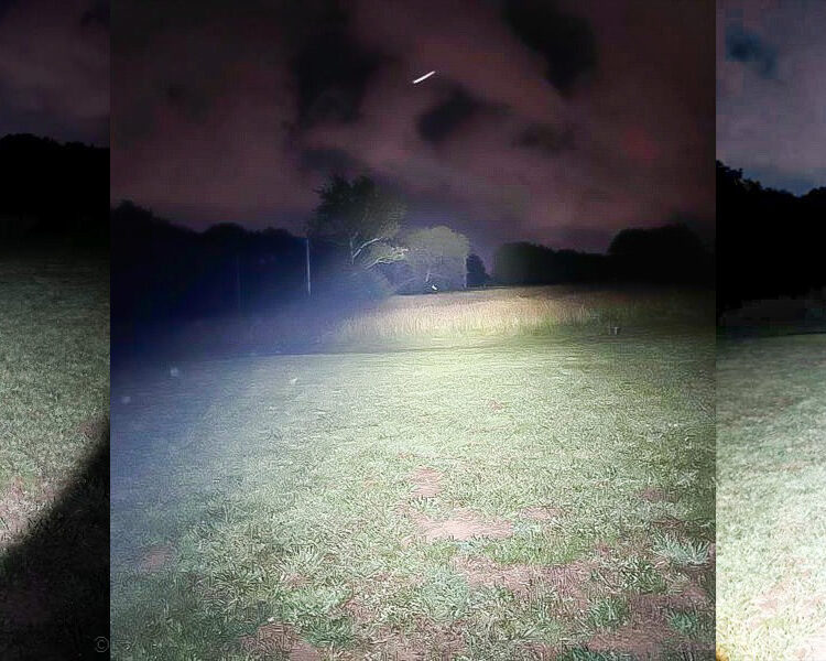flashlight beams into yard at night - feature article for flashlight terminology