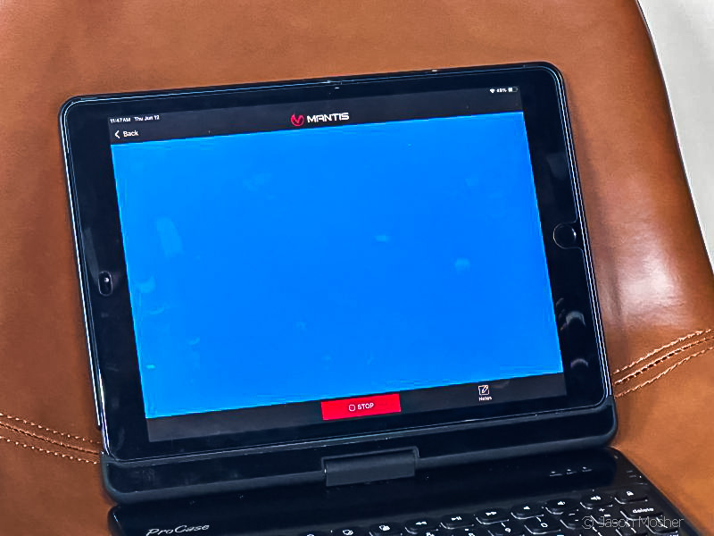 Shoot or don't shoot?