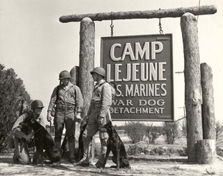 This is a black and white picture from World War II showing United States Marines standing next to the Camp Lejeune War Dog sign with their K9 partners