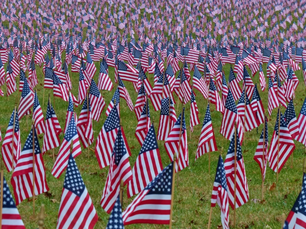 Hundreds of American flags in a field on Flag Day