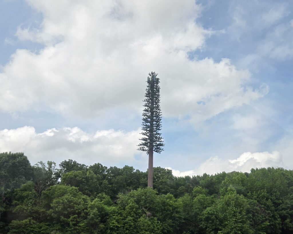A cellular phone tower disguised as a tree in the wood line.