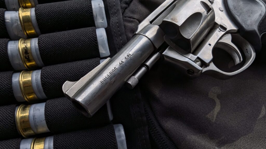 Charter Arms Bulldog markings