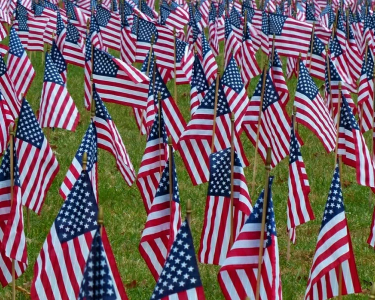 American flags in a field