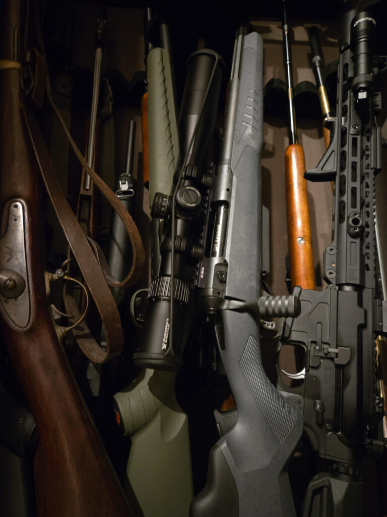 gun collection