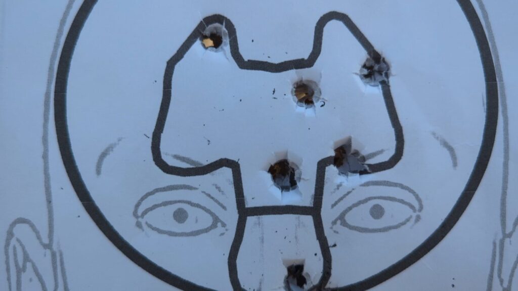 5 shot from 15 yards in paper target