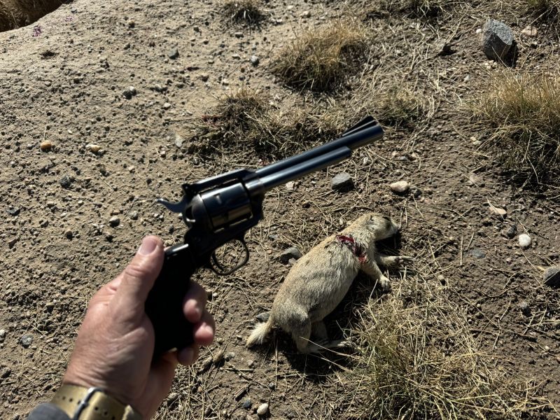 An accurate .22 is great for practice as well as small game and varmint hunting.