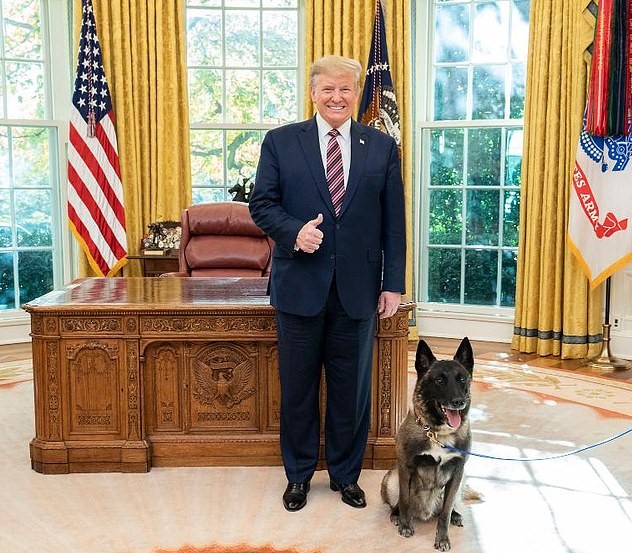 President Trump in the Oval Office with SOF K9 Conan. Trump is giving the thumbs up for a job well done