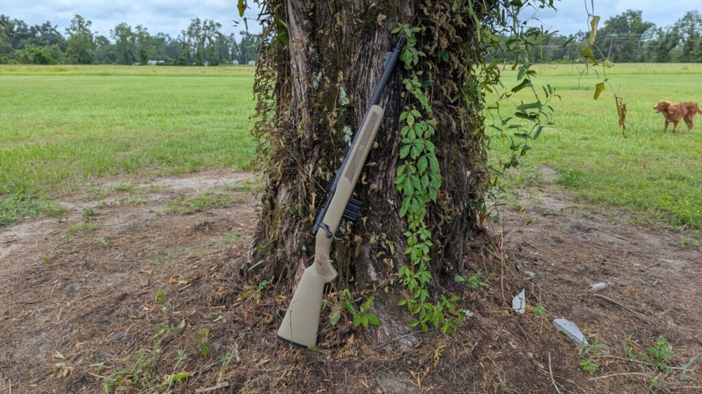 Mossberg MVP Patrol rifle leaning on a tree.