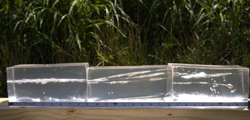 ballistic gelatin blocks shot by the hornady critical duty round
