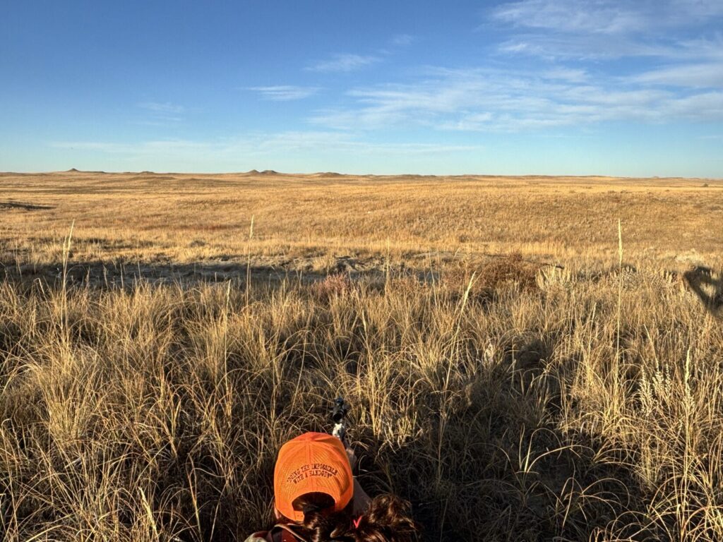 Jess in the prone position for the shot on the antelope.