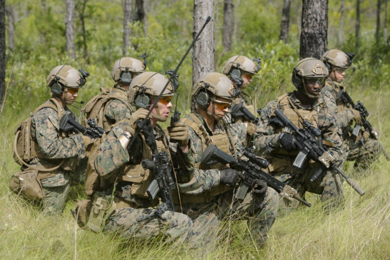 A squad of Marines in modern camouflage, tactical vests, and helmets kneeling in a grassy, wooded area, communicating and observing.