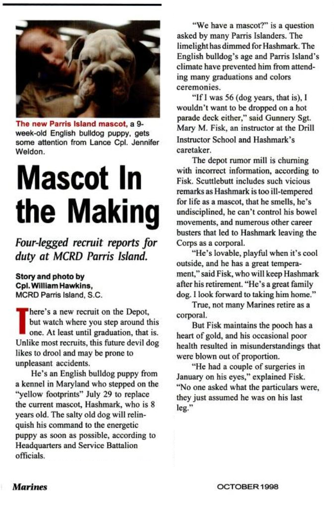 A story from Marines Magazine (Oct 1998) about a bulldog puppy preparing to assume the role of mascot at Marine Corps Recruit Depot Parris Island.
