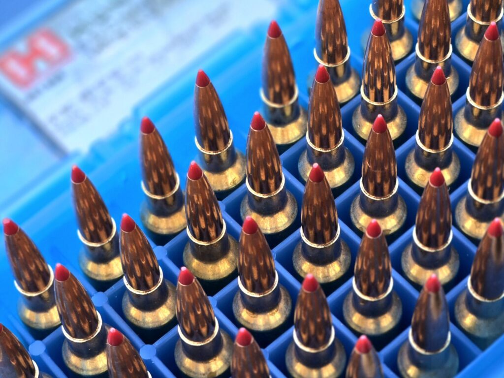 A dedicated hard case of hunting ammunition, matched to what the hunter practices with
