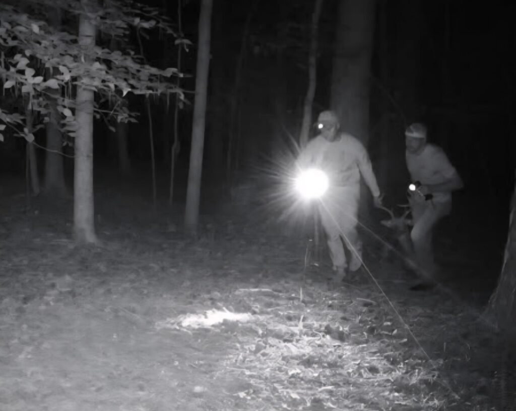 Two hunters drag a deer as seen on a trail camera