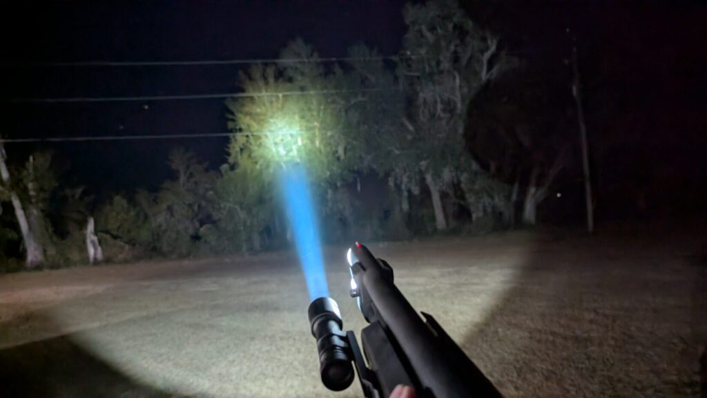 Shotgun-mounted flashlight beam shining into a dark treeline