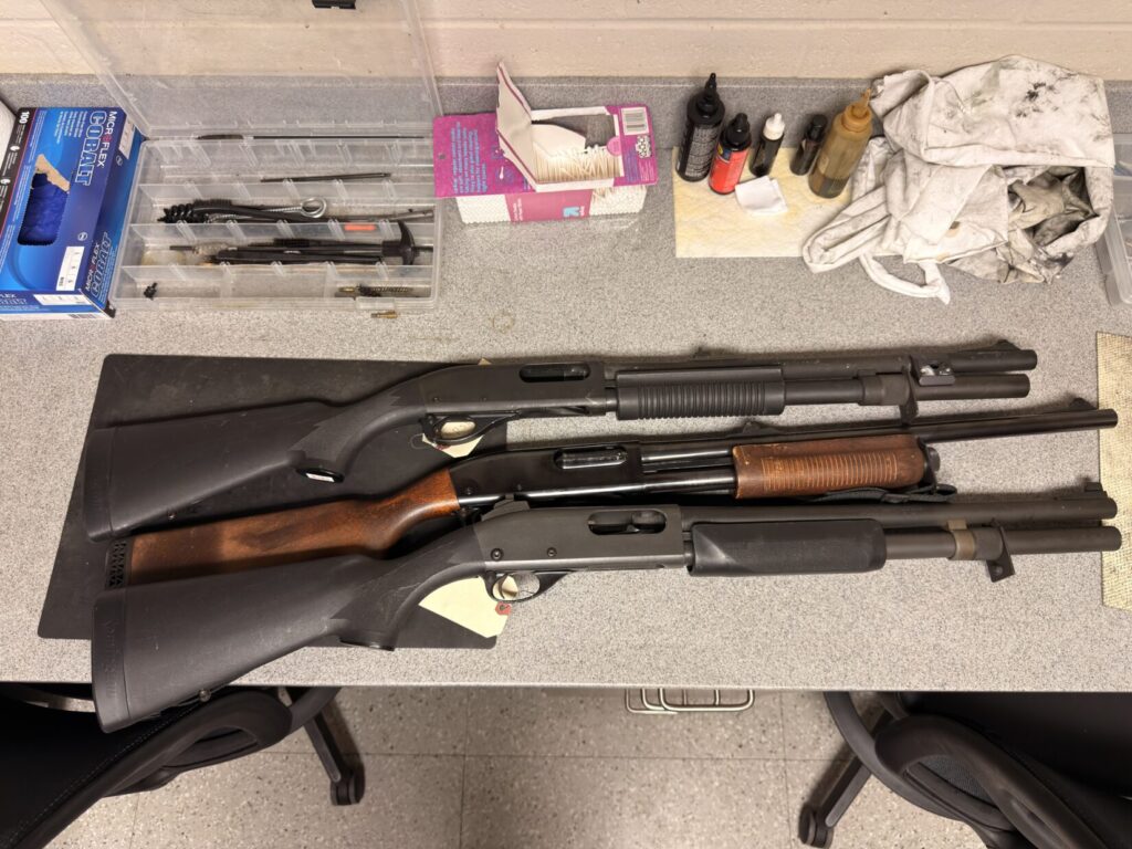3 old police surplus shotguns on a bench with gun cleaning supplies