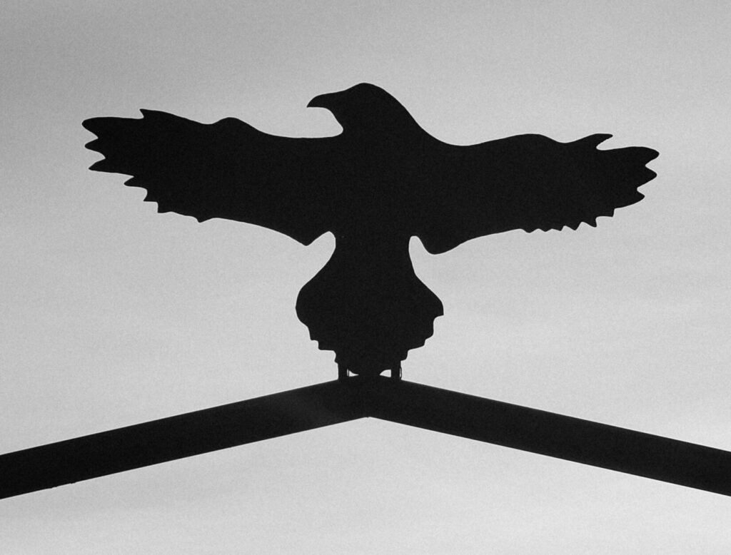 A raven silhouette against a gray sky backdrop
