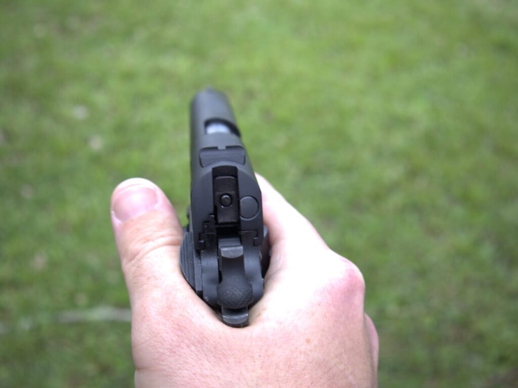 centurion 11 sights and safety