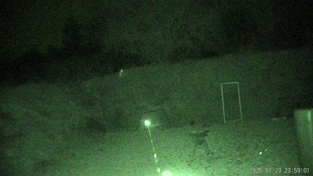 A green night-vision perspective of an outdoor field featuring a bright, glowing point of light and a faint vertical beam, likely an infrared (IR) laser, pointing toward a target area.