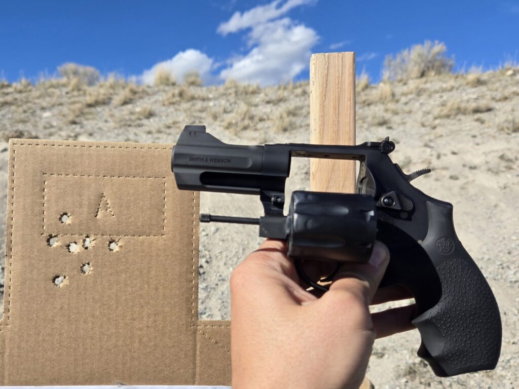 A revolver next to the head zone of an IPSC target.