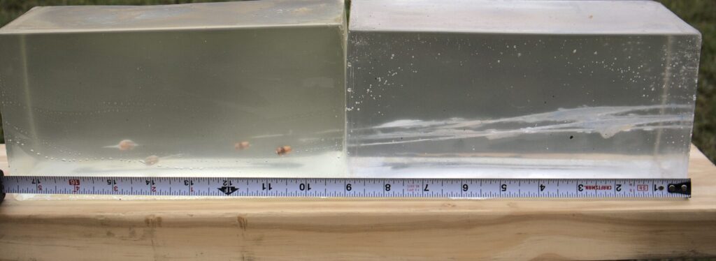 22 lr bullets captured in 10 % gelatin blocks