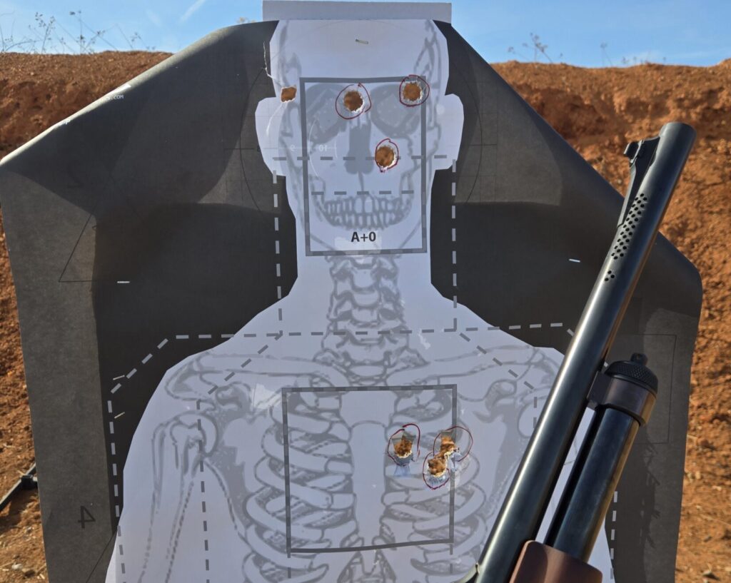 A target with 6 holes in it and a shotgun barrel off to the side