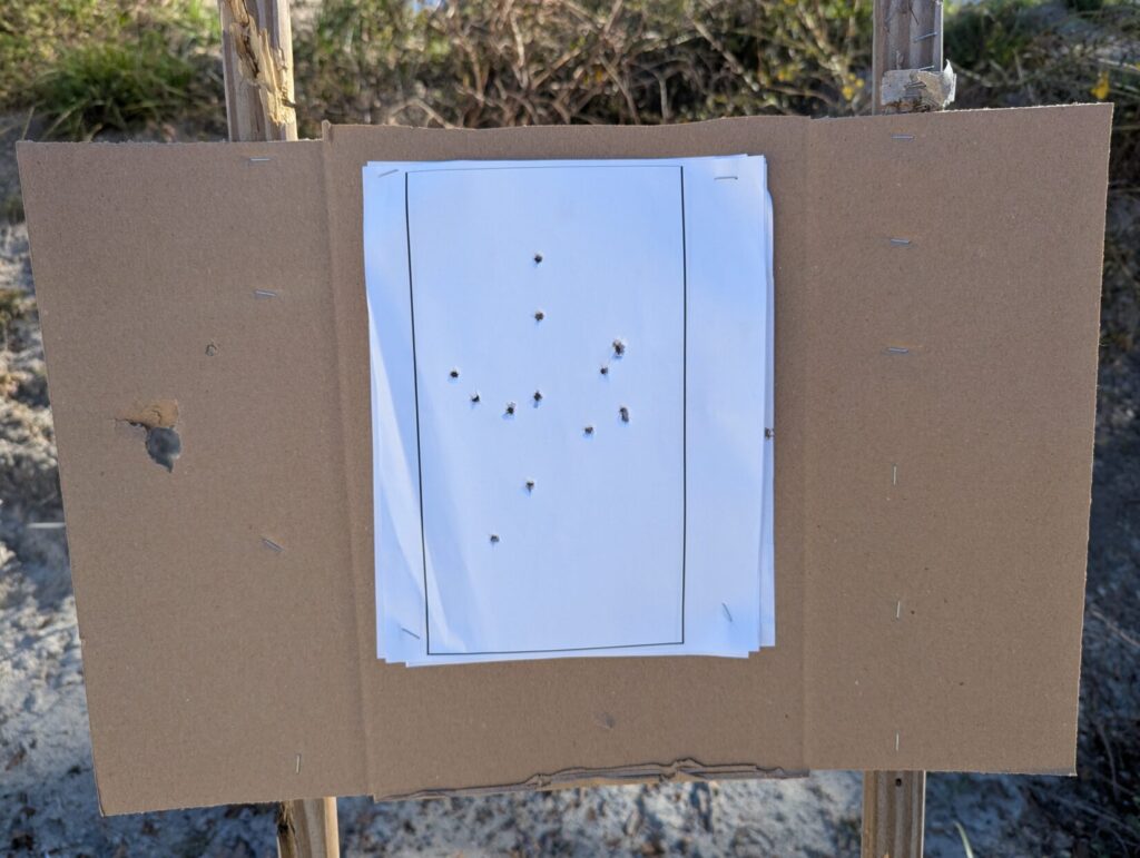 A paper target on cardboard displaying a wider, scattered pattern of small-diameter pellet impacts across the center and left side.