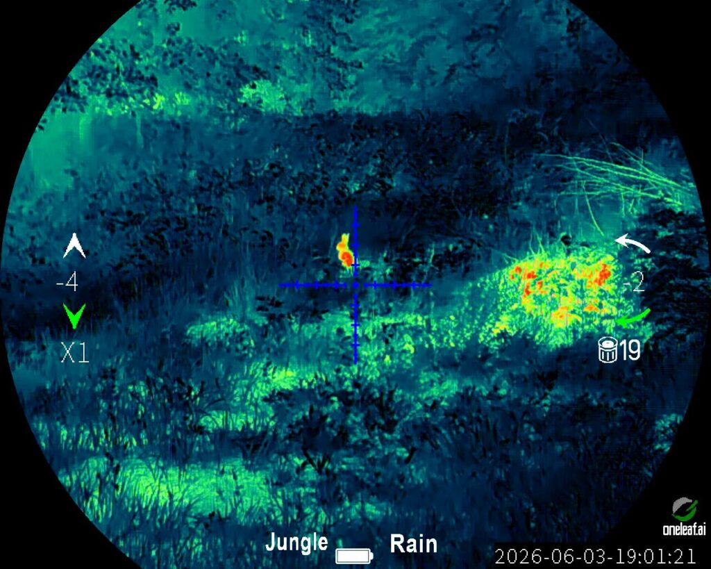 Thermal optic view in "Jungle" mode during rain. A small, bright orange heat signature of an animal is centered in the crosshairs amidst cool blue and green brush.